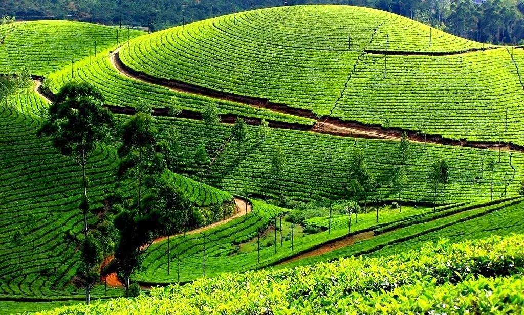 Kodaikanal Tour